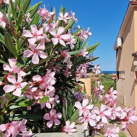 Su Bisu R4991 Terrace With Sea View, 500m From The Semesterbostad