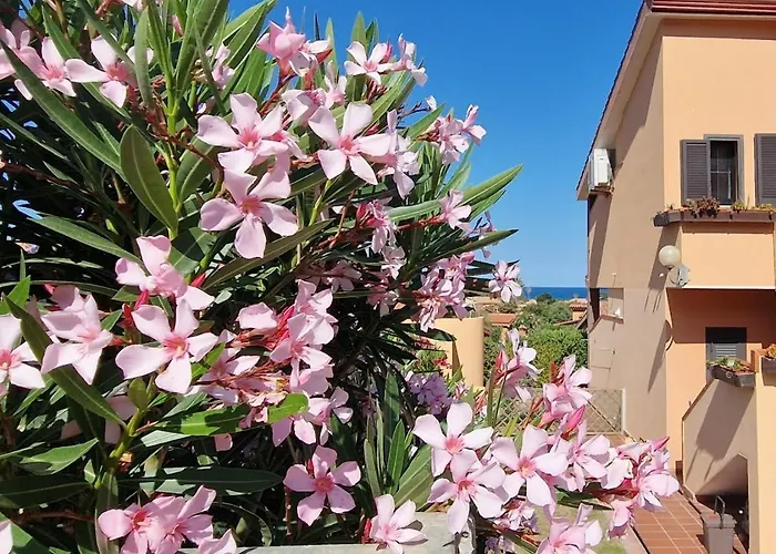 Su Bisu R4991 Wifi, Terrace With Sea View, 500m From The *